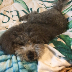ゆっくり眠りたい方への画像