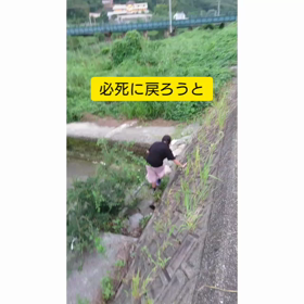 YouTubeきょんきょんで検索の画像