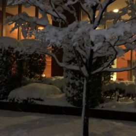 大雪の画像