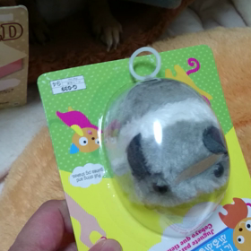 ワンコのおもちゃ(*^^*)！の画像