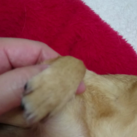 寝てるし‼の画像