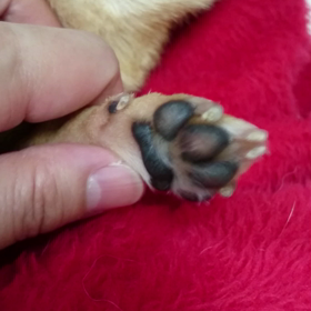 いぇ～～い(*^^*)の画像