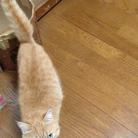 柑太の脚のサムネイル画像