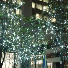 今日の テーマは「白い恋人の涙」の画像