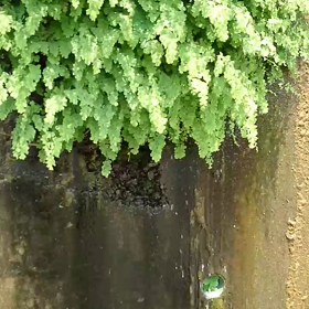 今日のテーマは「LINE」の画像