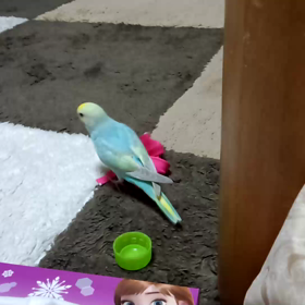 ともちゃん動画の画像