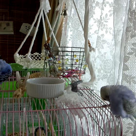 お手入れ中の画像