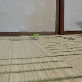 気になる撮影の画像