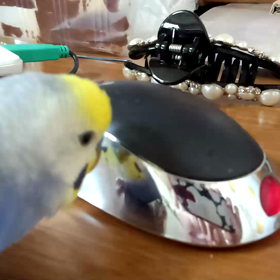 マウスのボクに夢中の画像