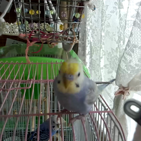 水浴びからの～の画像