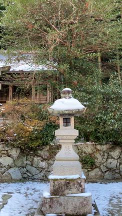 体が勝手に回りだす、奈良県高天彦神社の記事動画
