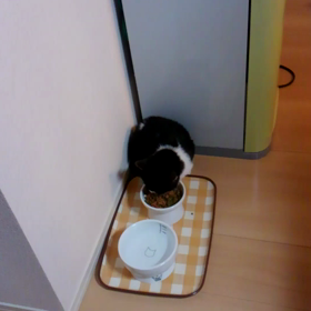 16日ぶりだぁ～の画像