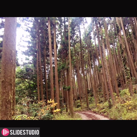 1分間の音Time・・7♪の画像