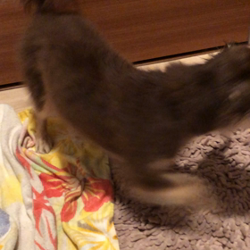 身仕度♪(๑ᴖ◡ᴖ๑)♪の画像