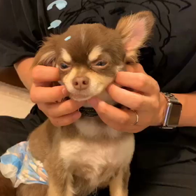 はや 1週間 (*´꒳`*)の画像