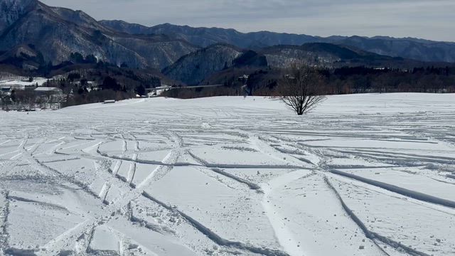 2/19〜20 白馬栂池スキー場①の記事動画