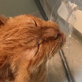 水と戦うオトコの画像