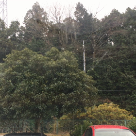 雪の画像