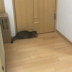 回転の画像