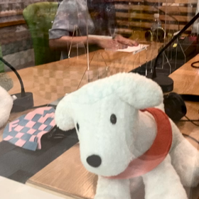 日曜サテLIVE！の画像