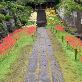 西方寺の彼岸花の画像