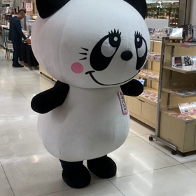 ルネパンダの画像