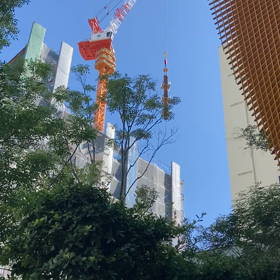 散歩中の画像