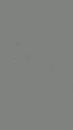 2号店　幸せだよりの記事動画