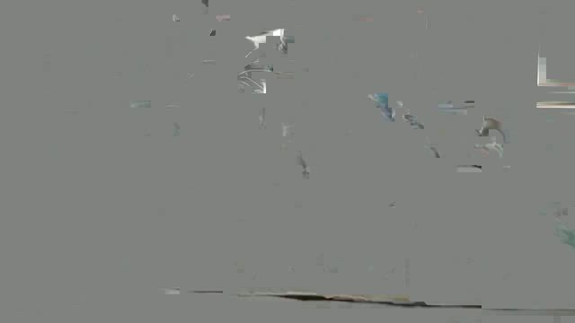 2号店　幸せだよりの記事動画