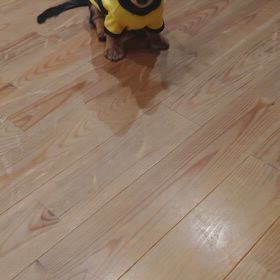 ☆☆待てだよ☆☆の画像