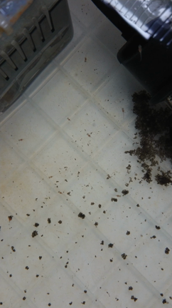 たんとお食べの記事動画