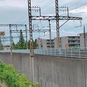 すみっコぐらし～の画像