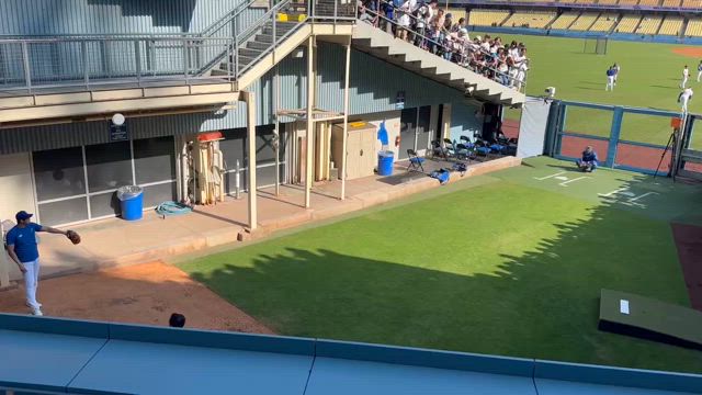 ロサンゼルスから届いた大谷翔平♡の記事動画