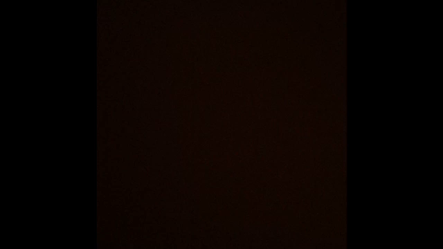 ★にゅーうえだの記事動画