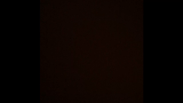 ★にゅーうえだの記事動画