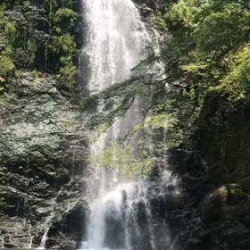 箕面の滝、なう♪の画像