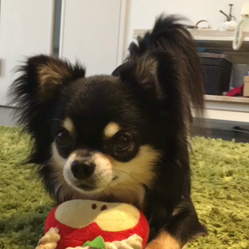 見ててね♡の画像
