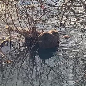 ２月９日の釣果の画像