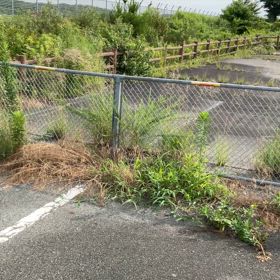 台北行きの飛行機が滑走路脇で待機していた‼️の画像