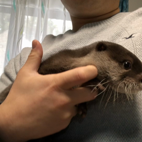 TBSグッとラックの画像