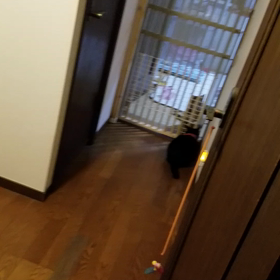 これってどうなの？の画像