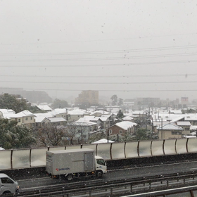 雪だよーの画像