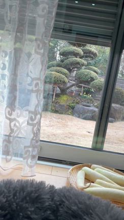 海老で鯛を釣る2   &  夫の入院手術の記事動画
