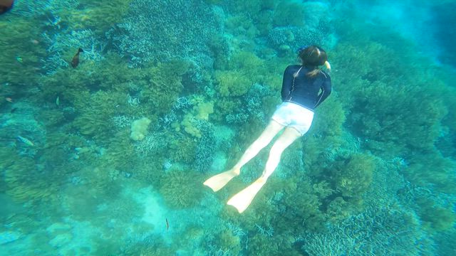 バリ　レンボガン島でシュノーケリングの記事動画