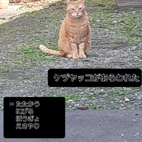 　　　　　　　　　　　　　　　　　　　ドラクエ　　　　　　　、の画像