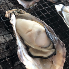 一進一退の画像