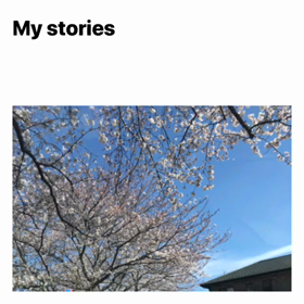 桜さくら〜〜ドアノブ取れた〜〜の画像