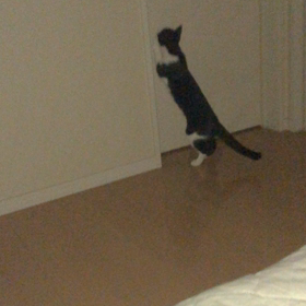 夜の見回りの画像