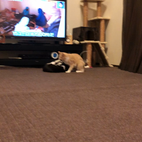 ピアノの画像