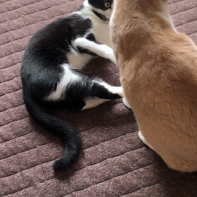 相変わらずだね〜の画像